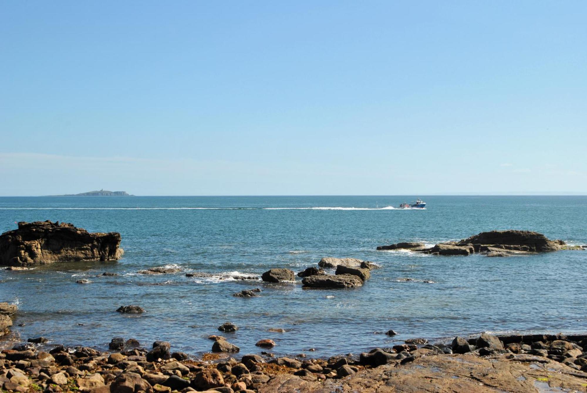 Harbour Haven- Idyllic Coastal Retreat Leilighet Anstruther Eksteriør bilde